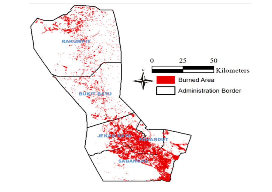 Forest Fire Impact Assessment - Palangka Raya